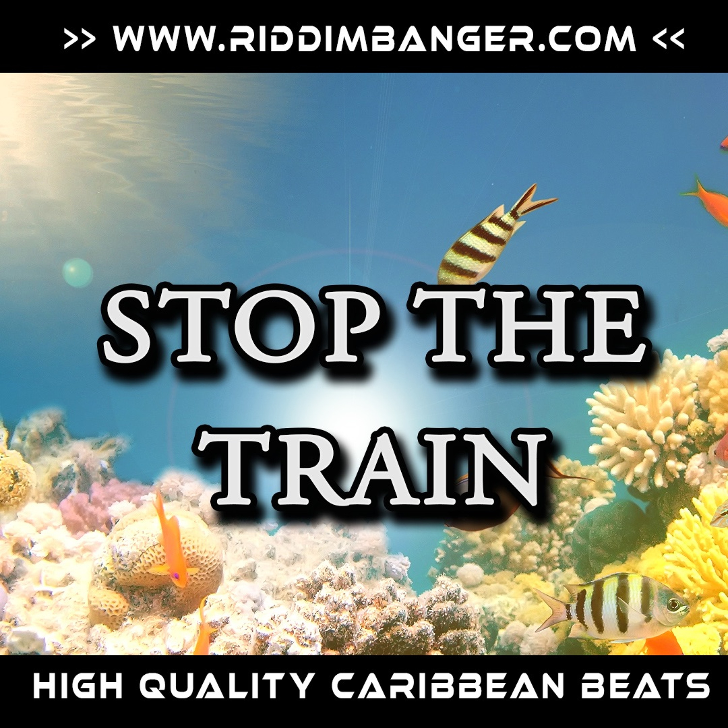 New beat online now!