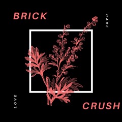 Crush (Prod. DrellOnTheTrack)