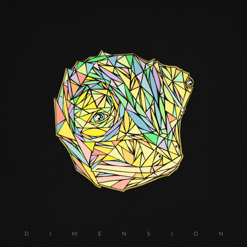 Y-DAPT - Dimension