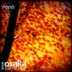 Osaka Sunrise 53