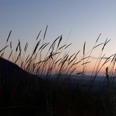 Menyenangkan-Mu (Welyar Kauntu cover) with Kak Yudea & Lia