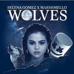 INTO WOLVES(mashup)- Selena Gomez & Ariana Grande