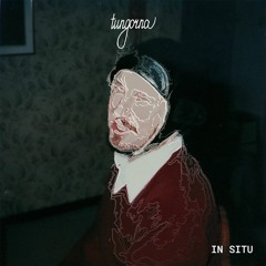 Tungorna / IN SITU