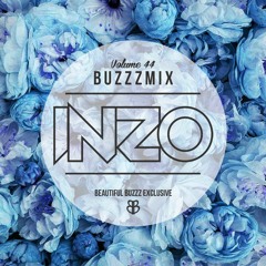 Buzzzmix Vol. 44 - INZO