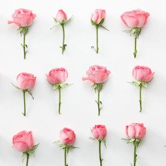 TWOS X Tours - As We Strive