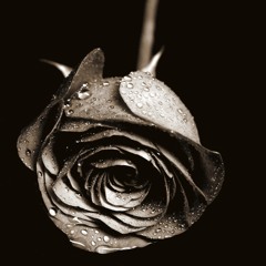 jocelyn flores pt.2(cover)