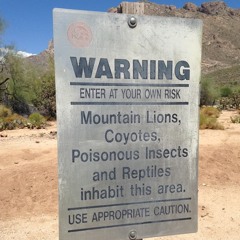 Escape From The Machine