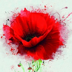 Inmarcesible Concerto Magno