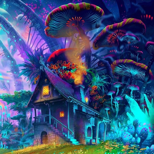 Journey into Mushroom Valley