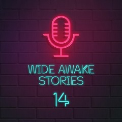 Wide Awake Stories #014 ft. Above & Beyond, Mirik Milan, Slushii, Ray Volpe & Tisoki