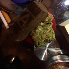 Rehab (The Reflex Revision)