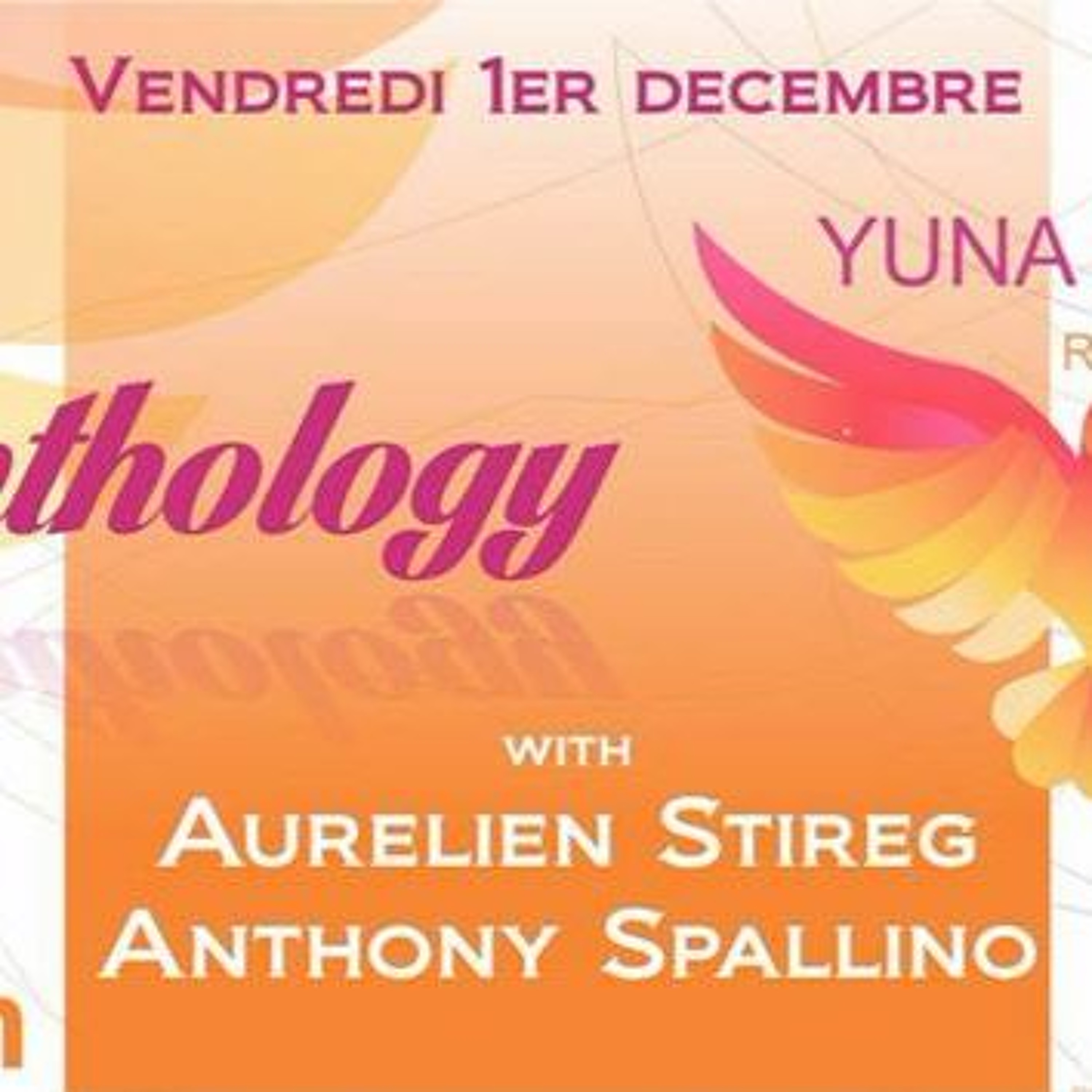 Aurelien Stireg