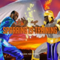 Sparring Is Training - Joziah