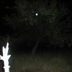 Estilo Animal Ft. Nicotina MR producciones