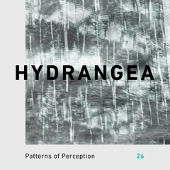 Patterns of Perception 26 - Hydrangea