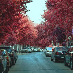 I Saw You And I Fell In Love.