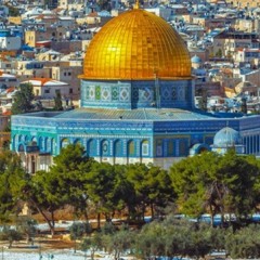 وردتنا 🇵🇸| محمد و ديمة بشار
