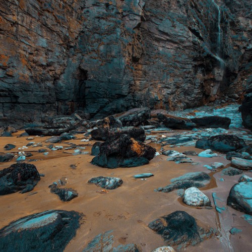 Primate - Turbulent