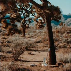 zen fades into chios