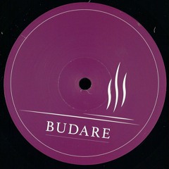 Premiere : Sakro & Miguel Puente - Vibe 2 (BUDARE007)