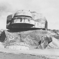 FHUO # 9 // Roman Ćinske