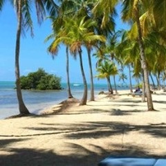 Miami Solace