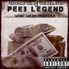 What We Do Freestyle