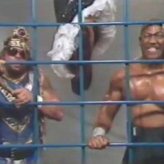 43. WWF Wrestling Spotlight 12-16-1989