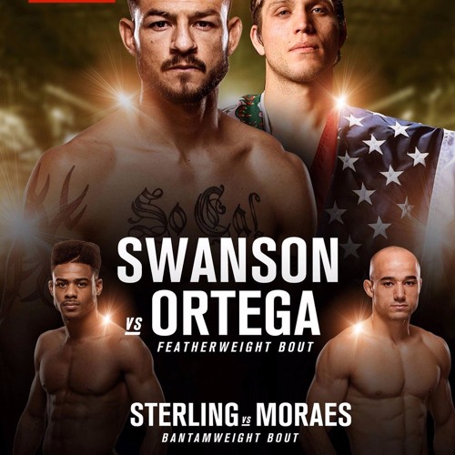 The MMA Analysis - UFC Fight Night 123 Preview The MMA Analysis - UFC Fight Night 123 Preview