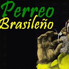 MEGA ENGANCHE TWERKING BRASILERO   Perreo Brasilero 2017   Dj Andres