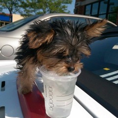 Grymg12617 prod by Jvrms