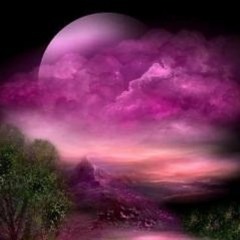 Pink Moon (w/ Overdubs) - David Falacko (Nick Drake Cover)