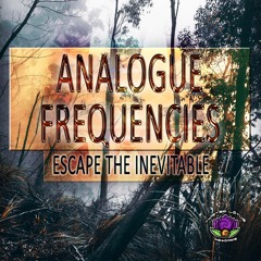 Analogue Frequencies - Escape The Inevitable