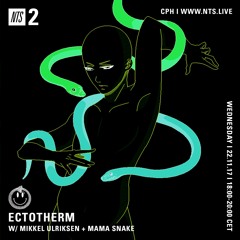 NTS Radio x Ectotherm 22.11.17 - Mikkel Ulriksen (ISEE)