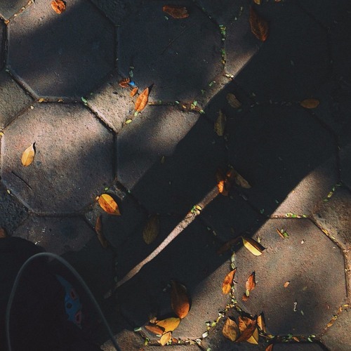 Sắp vào đông - Huy Lê ( cover )