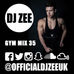 DJ Zee - GYM Workout Mix No. 035 (700k Plays Special)