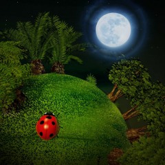 Lullaby for the Earth, dedicated to Ludovico Einaudi