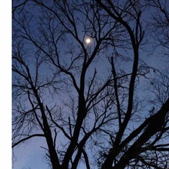 Billie Holiday - LoFi -Strange Fruit - Hek-Tk Remix