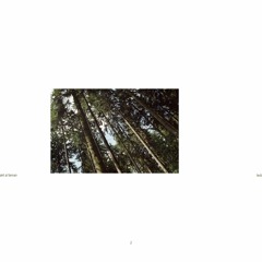 Akil Al Fannan - Laub