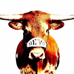 Eyes Of Texas Hardstyle Remix