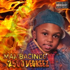 Mamba Cinco Shake Sh Up