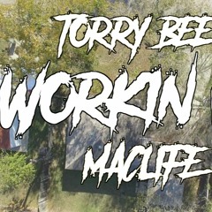 Workin- TorryBee ft. Maclife