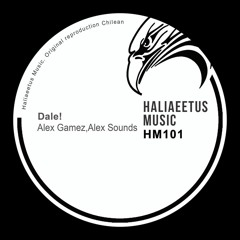 Alex Gamez, Alex Sounds - Dale! (Original Mix) [Haliaeetus Music]