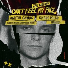 Martin Garrix Vs. Florian Picasso & Tom Tyger - Mamo Can't Feel My Face (Chase Miles Mashup)