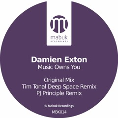 Damien Exton - Music Owns You