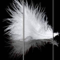 DESILLUSION PART II