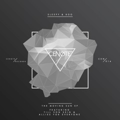 Premiere: Sleepy & Boo - The Moving Sun (Allies For Everyone) [Cenote Records]