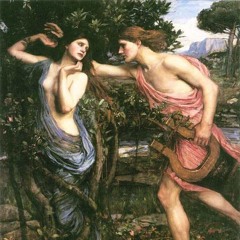 'Run' - Love Immortal