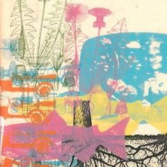 A Guide For The Perplexed