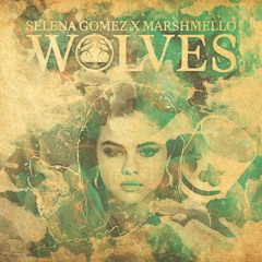 Selena Gomez x Marshmello - Wolves (Boulevarde Remix)